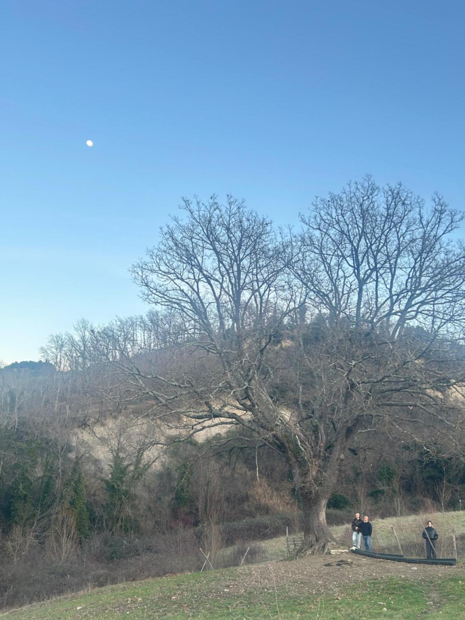 Val Di Tufo Bauernhof Montalcino